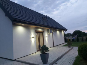 Dom u Janusza nad jeziorem Białym, Gostynin
